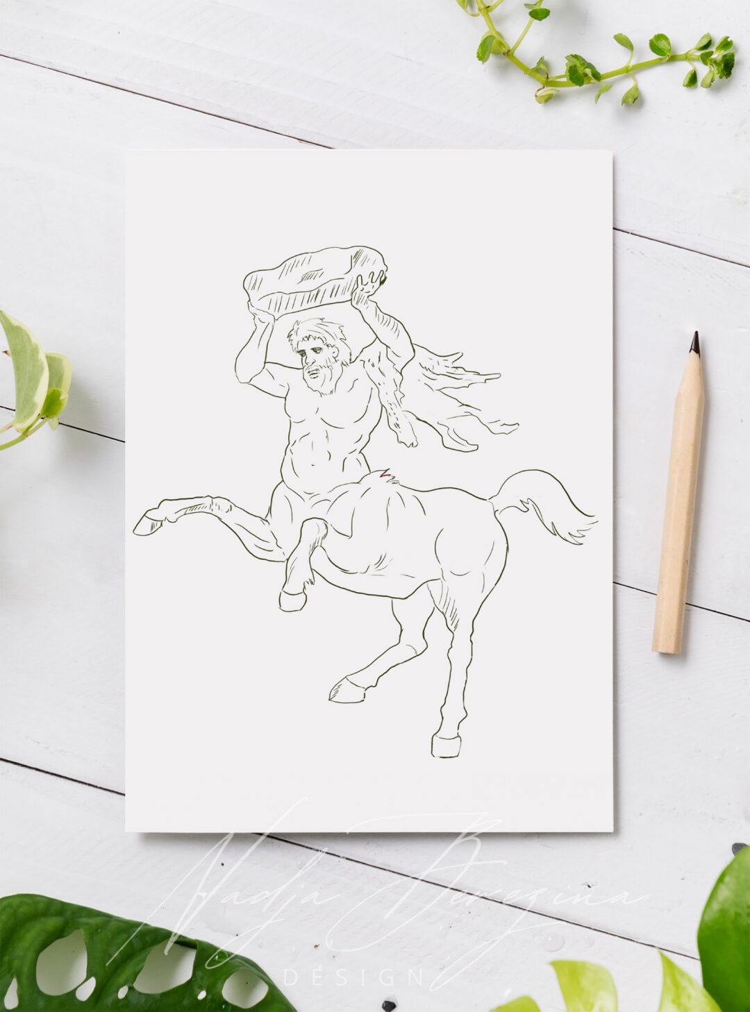 Elegante Kentaur-Illustration für Flaschenetikette